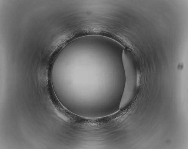 X0000090780638200707201524