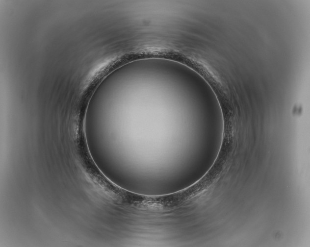 X0000090780640200707201524