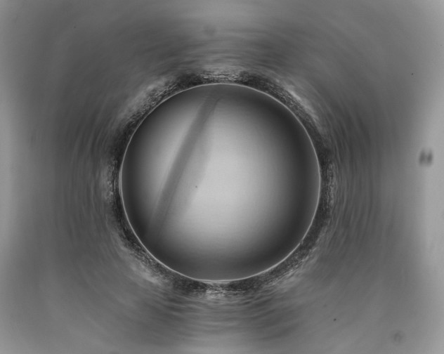 X0000090780641200707201524