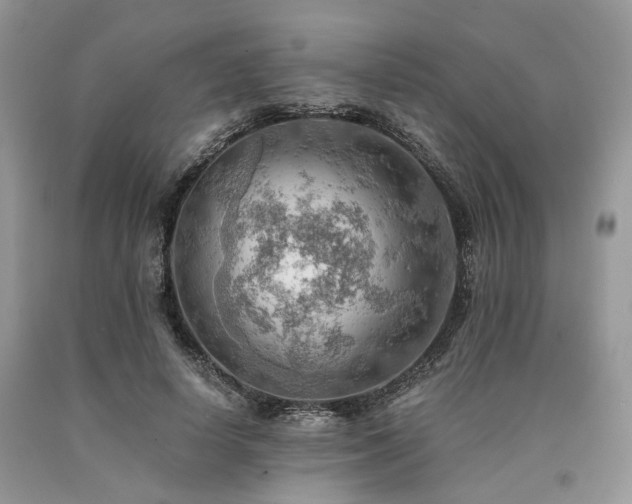 X0000090780642200707201524