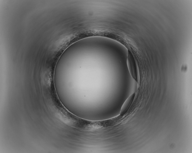 X0000090780644200707201524