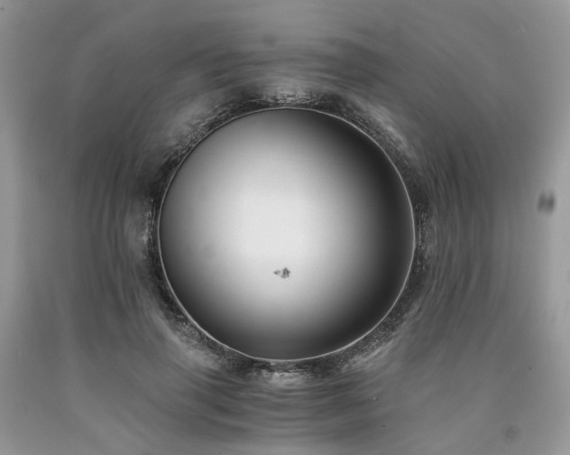 X0000090780645200707201524