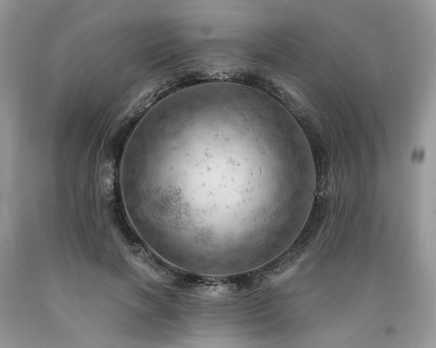 X0000090780646200707201524