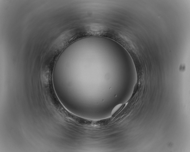X0000090780647200707201524