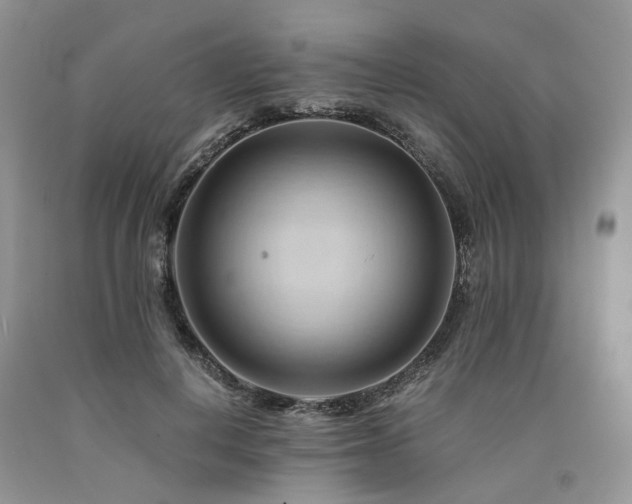 X0000090780648200707201524