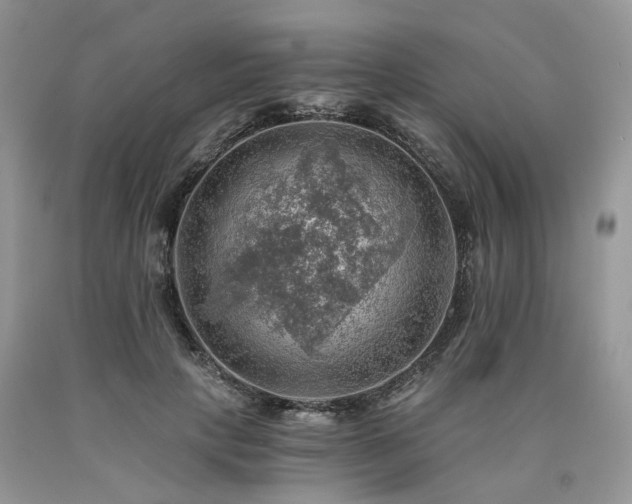 X0000090780649200707201524