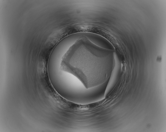 X0000090780651200707201524