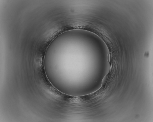 X0000090780652200707201524