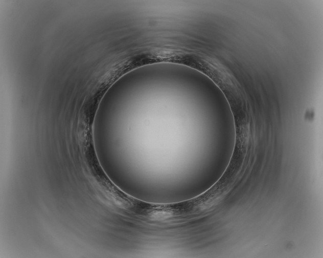 X0000090780653200707201524
