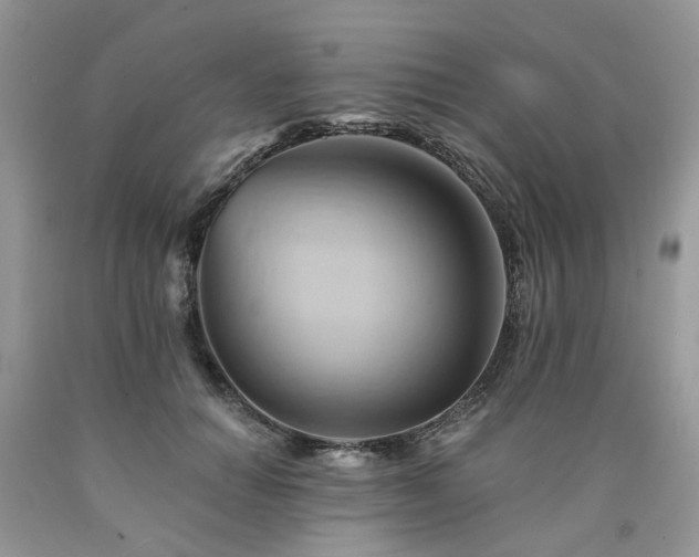 X0000090780654200707201524