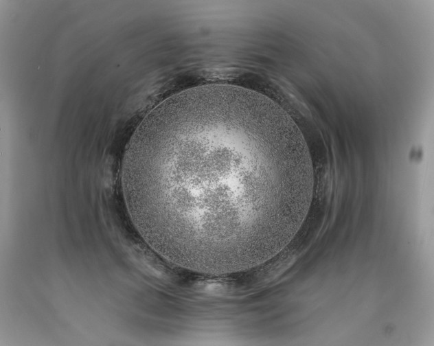 X0000090780655200707201524