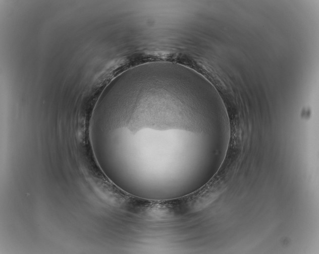 X0000090780656200707201524
