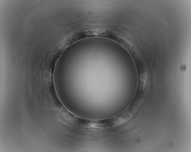 X0000090780657200707201524