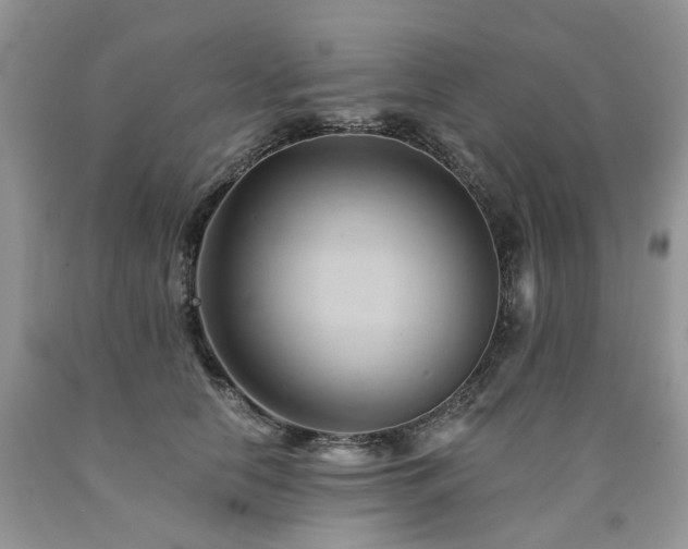 X0000090780658200707201524