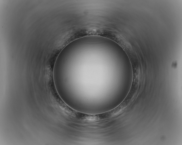 X0000090780659200707201524