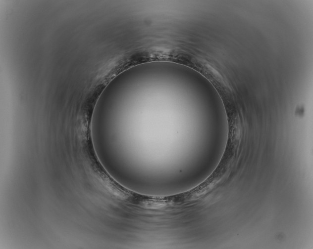 X0000090780661200707201524