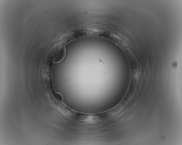 X0000090780663200707201524
