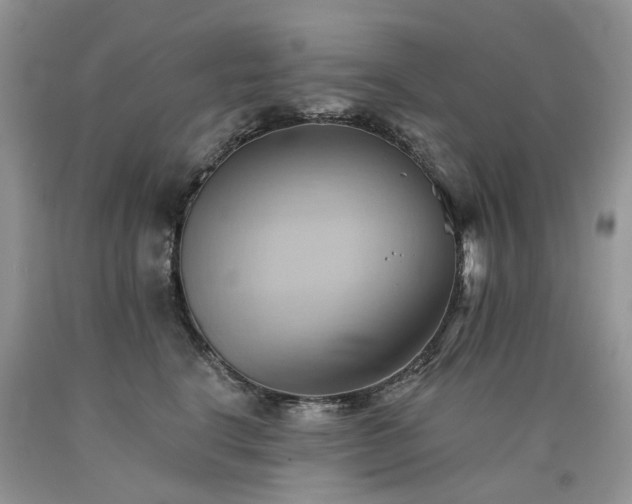 X0000090780664200707201524