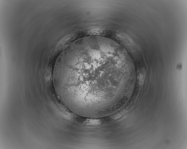X0000090780665200707201524