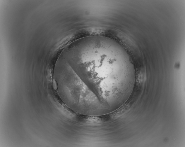 X0000090780666200707201524