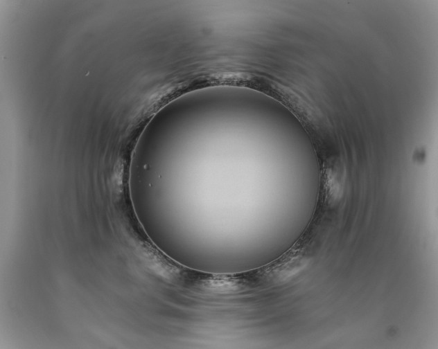 X0000090780668200707201524