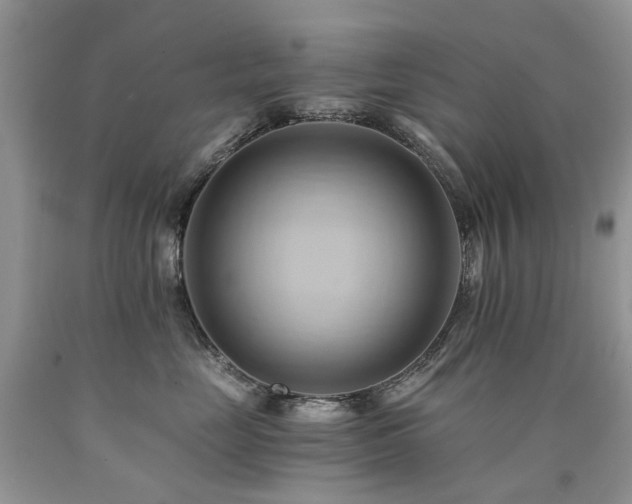X0000090780669200707201524