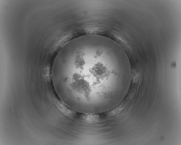 X0000090780670200707201524