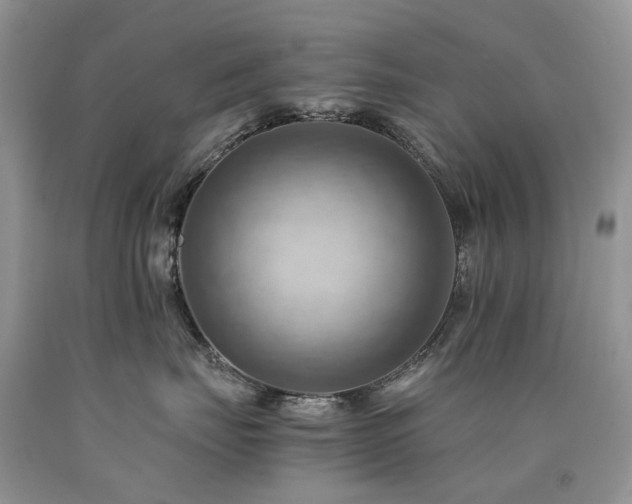 X0000090780671200707201524