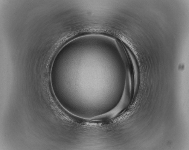 X0000090780673200707201524