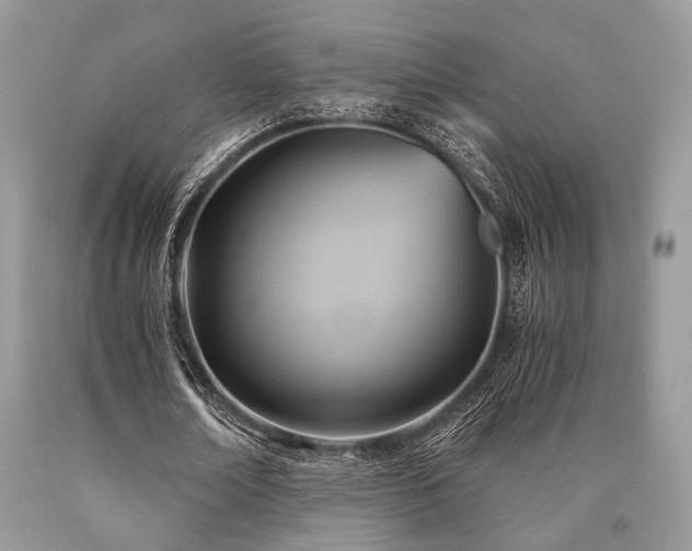 X0000090780674200707201524