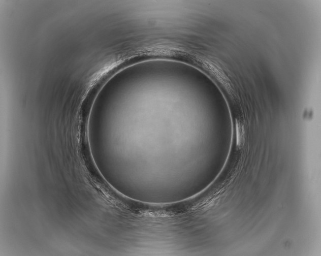 X0000090780675200707201524