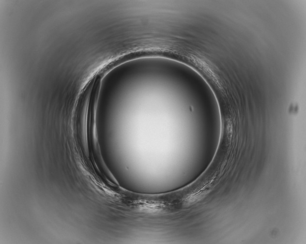 X0000090780676200707201524