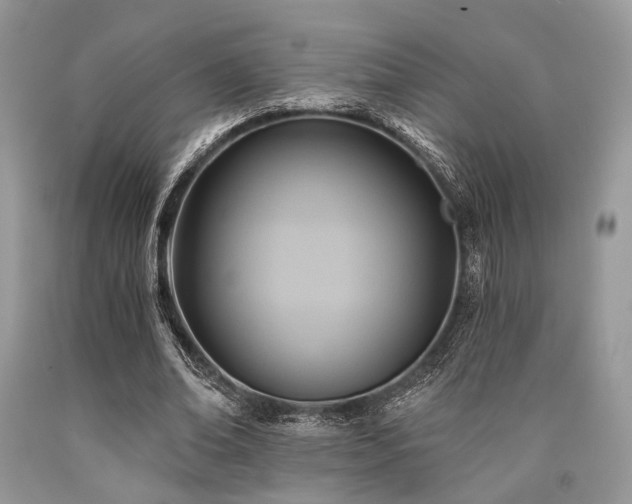 X0000090780678200707201524