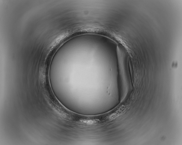 X0000090780679200707201524