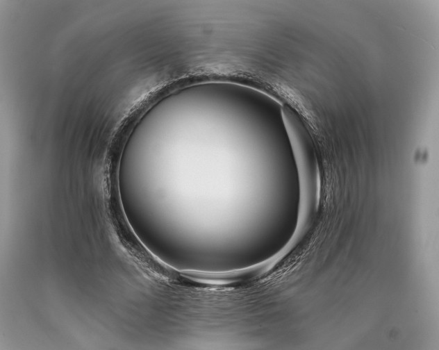 X0000090780680200707201524