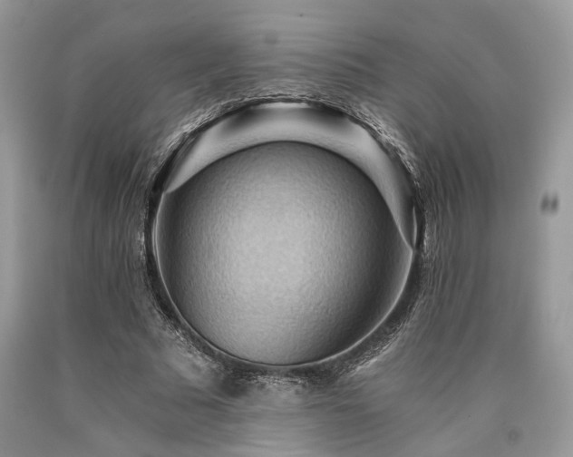 X0000090780681200707201524