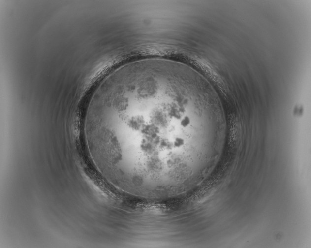 X0000090780683200707201524