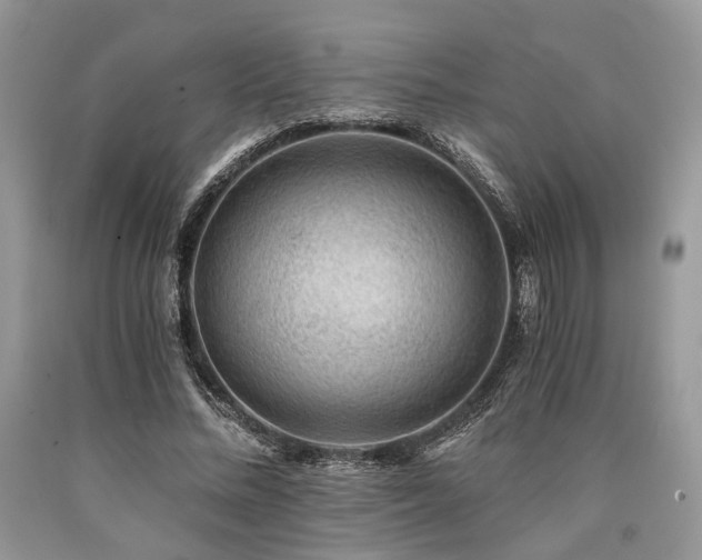X0000090780684200707201524