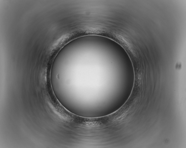 X0000090780686200707201524