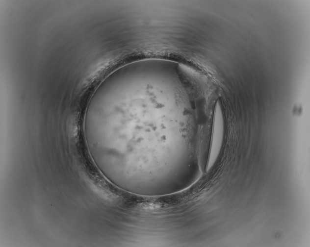 X0000090780687200707201524