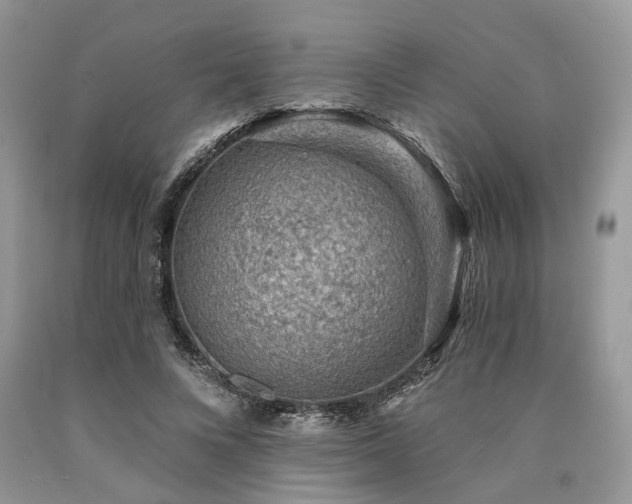 X0000090780688200707201524