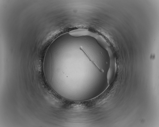 X0000090780689200707201524