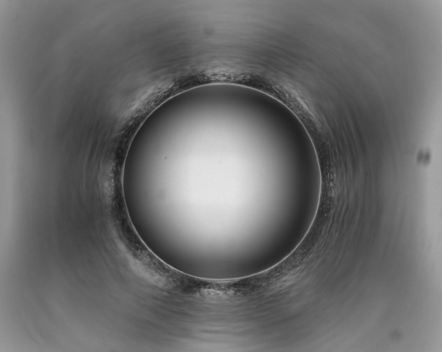 X0000090780690200707201524