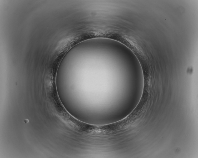 X0000090780691200707201524