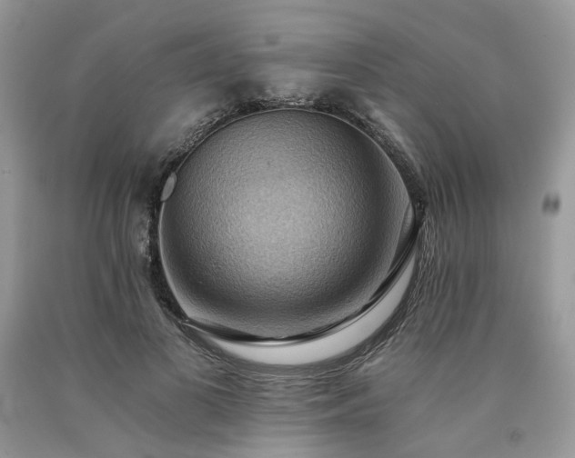 X0000090780693200707201524