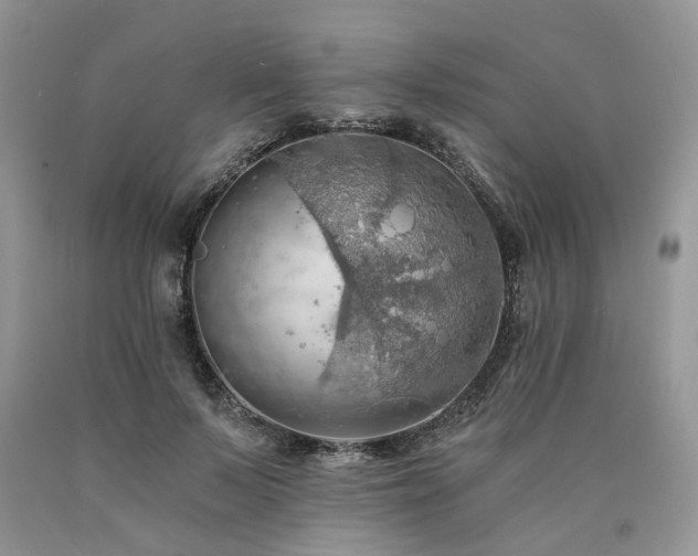 X0000090780695200707201524