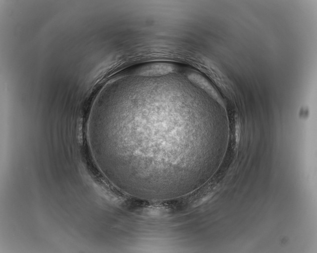 X0000090780696200707201524