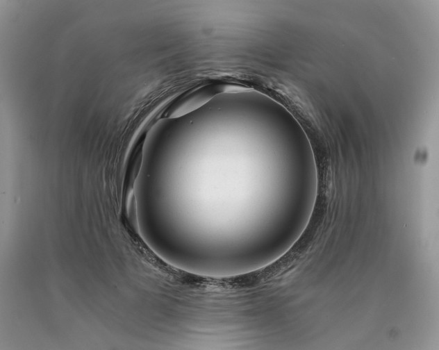 X0000090780697200707201524