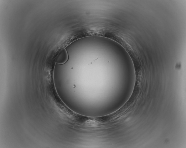 X0000090780699200707201524