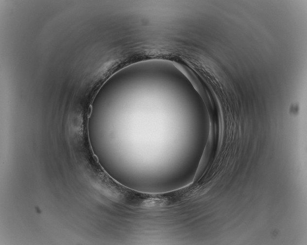 X0000090780700200707201524